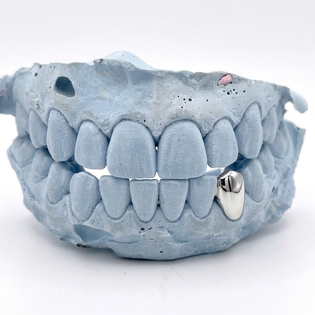 Silver Grillz unten Single Cap auf Eckzahn 33 – Grillz aus Chrom, Custom Grillz für deine Zähne nach Maß