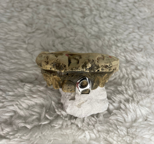 „Single Liquid Hole Cap organisches Lochdesign ZGrillz“

„Chrom Single Cap mit organischer Öffnung“

„Minimalistische Liquid Hole Grillz“