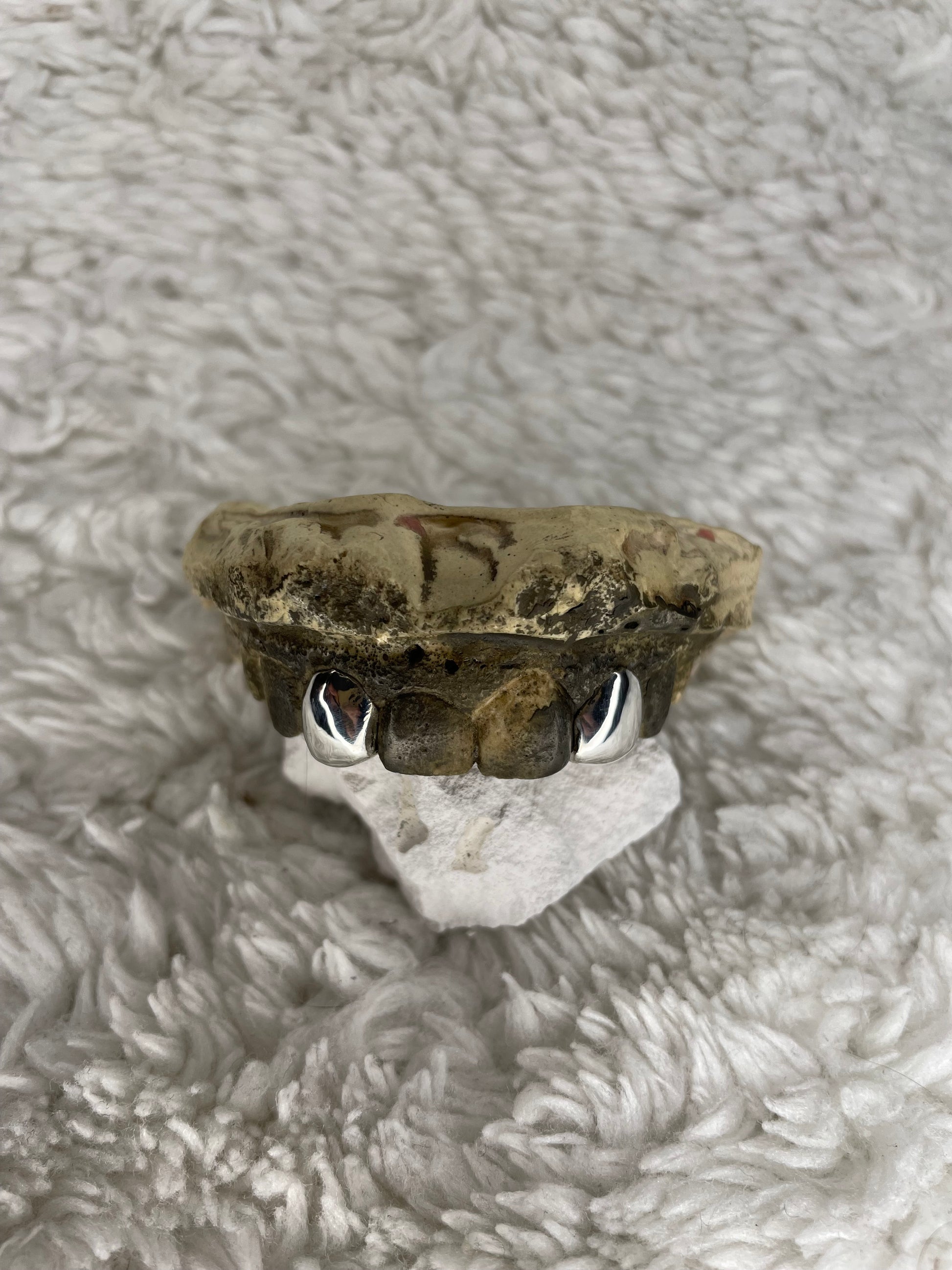 „Double Classic Caps minimalistische Zahnkappen ZGrillz“

„Chrom Doppel Caps poliertes Design“

„Twin Grillz glatte Oberfläche“